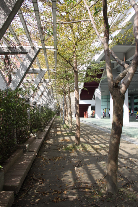 44-南山綠蔭大道