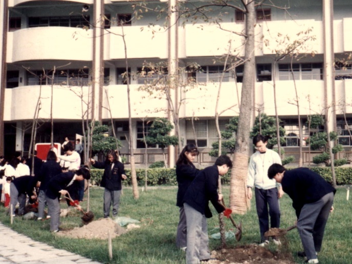 12-校景最美的焦點-木棉林就是這般成長的(民國80年植樹節)